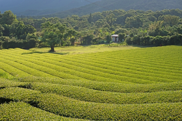 3b9025b74a19a63e4d68d7a557934a8b_s