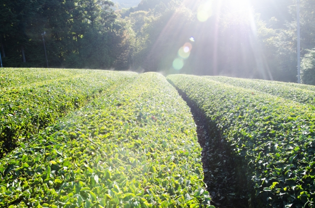 e11b738ac85c1bbaf58cda4527af0118_s