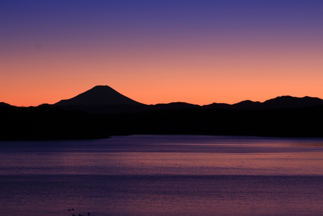 d9b36a480f1e0959336119ad5bc74a00_s